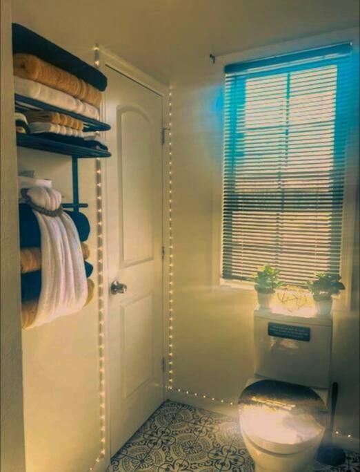 Beautiful Queen Luxury Near Downtown Apartment