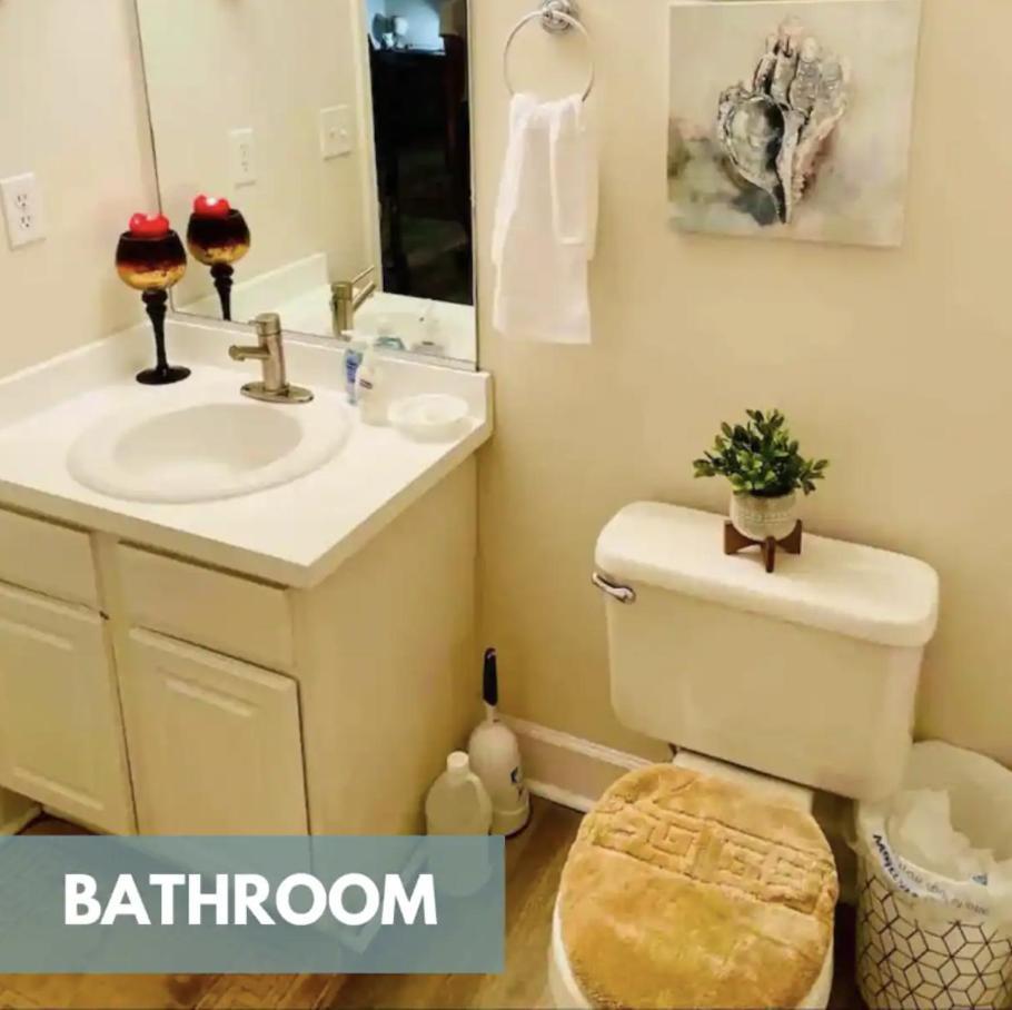 Amazing Beautiful Downtown Apartment Norfolk