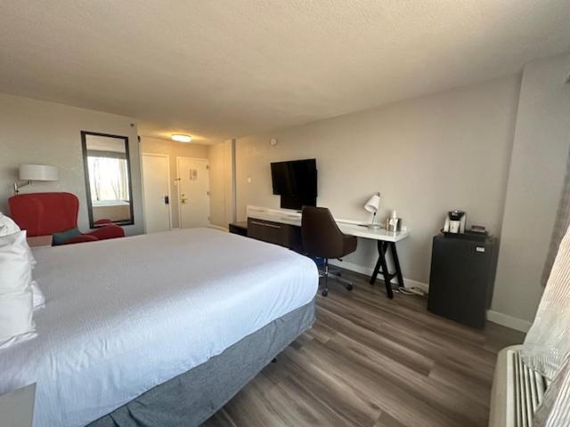 Wyndham Garden Downtown Hotel