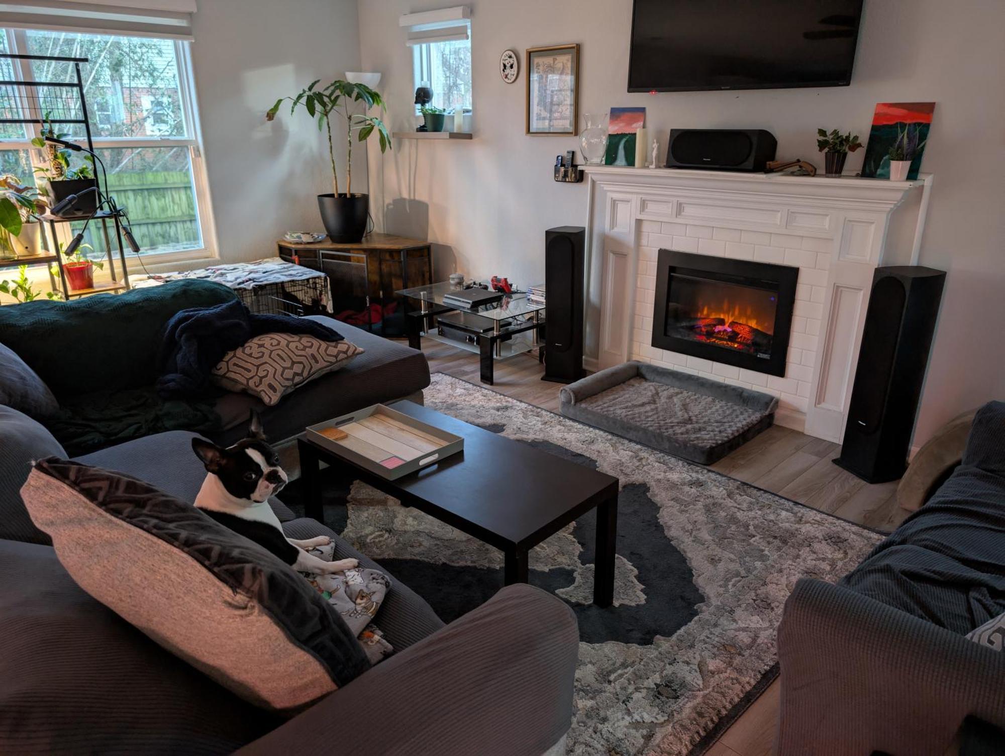 Homestay Room, Gym, And Puppy Cuddles