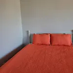 Cheerful 5 Bedroom House Centreally Located .