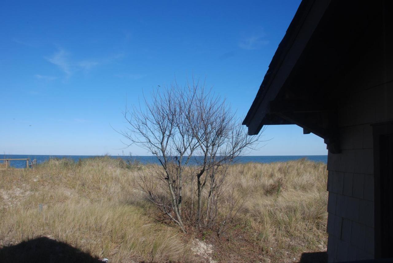 Rustic Rooftop Delight - Bay Front Apts Norfolk
