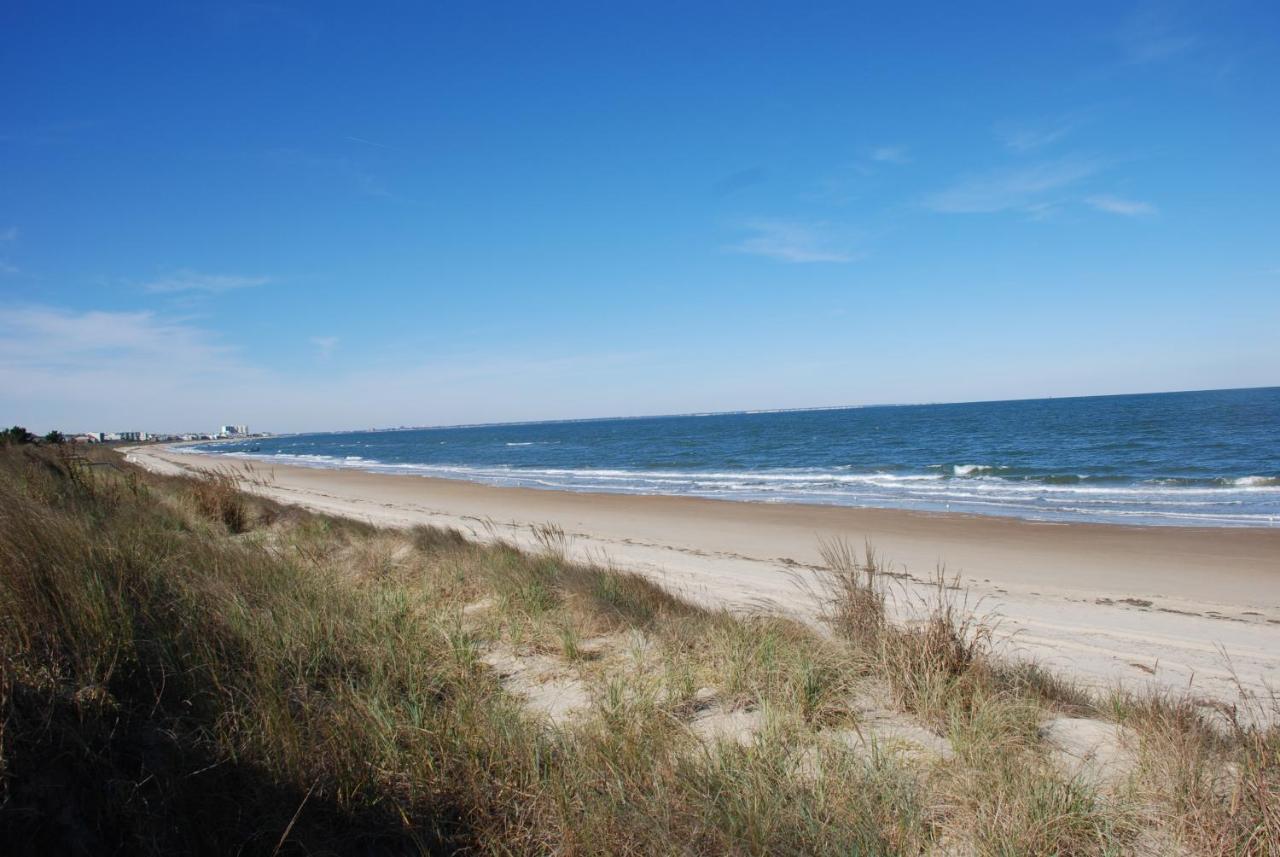 Rustic Rooftop Delight - Bay Front Apts Apartment Norfolk