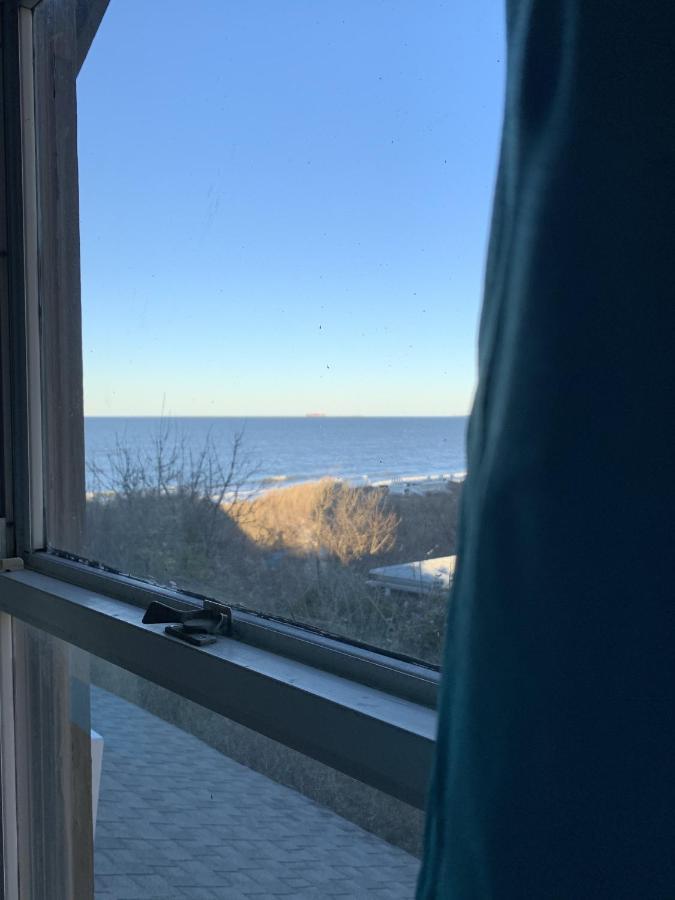 Rustic Rooftop Delight - Bay Front Apts Apartment Norfolk
