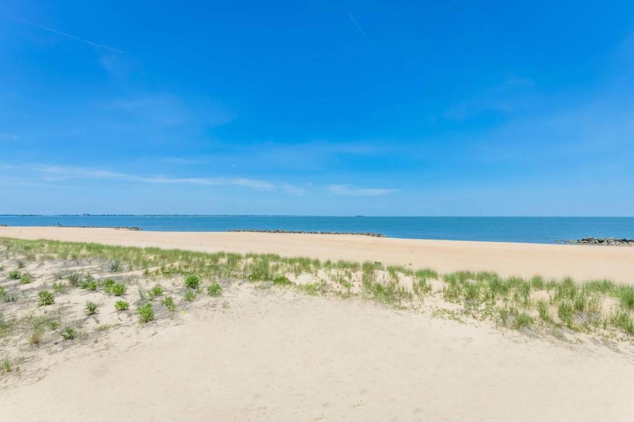Dune Shore *